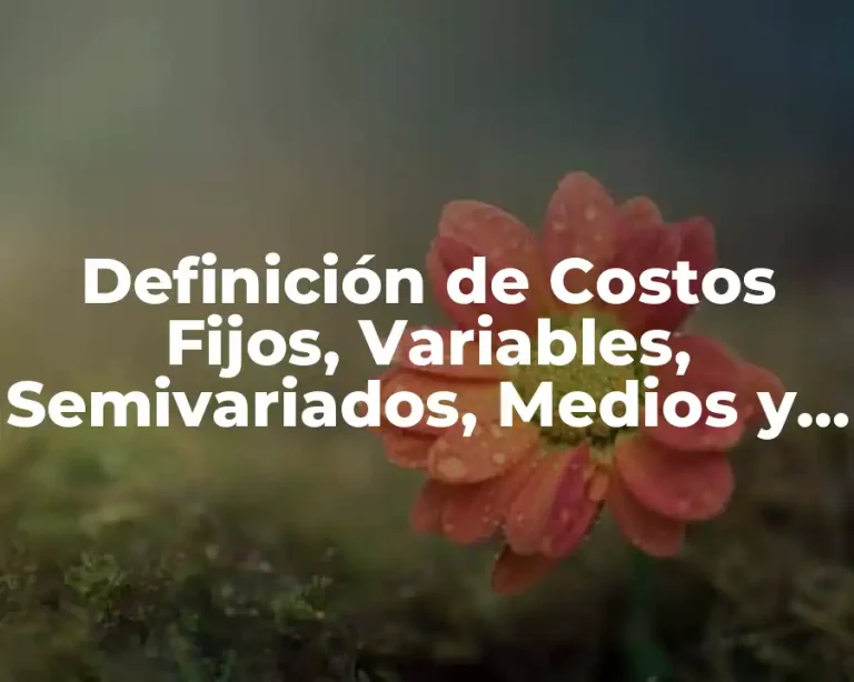 Definición de Costos Fijos, Variables, Semivariados, Medios y Totales