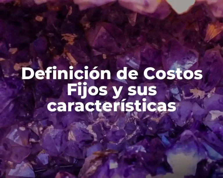 Definición de Costos Fijos y sus características