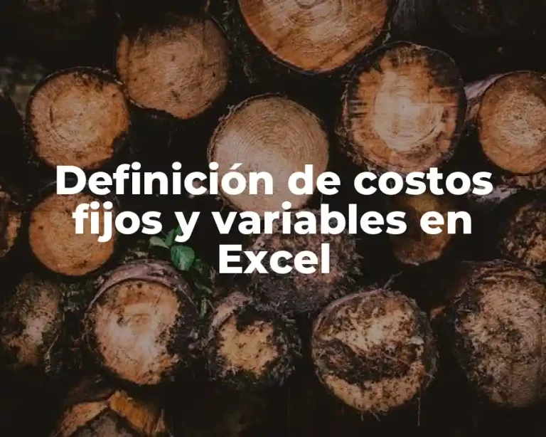 Definición de costos fijos y variables en Excel