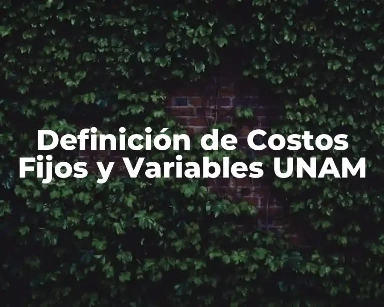 Definición de Costos Fijos y Variables UNAM