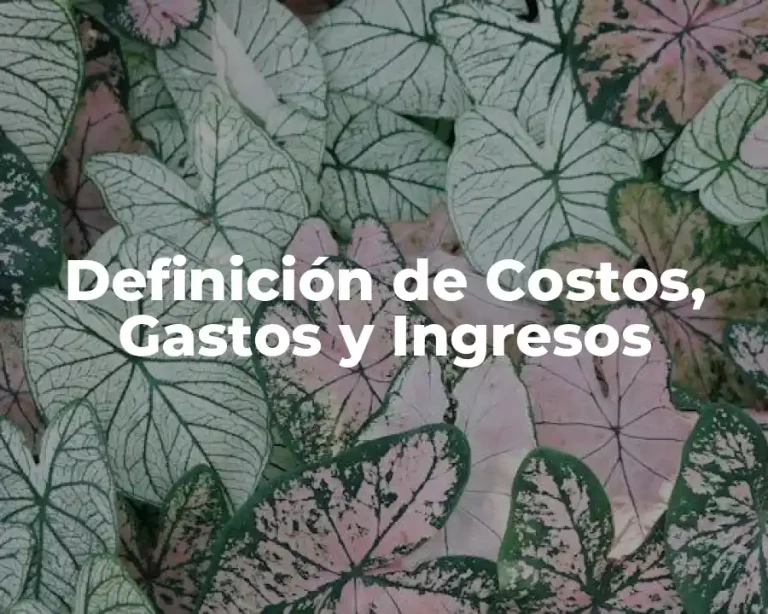 Definición de Costos, Gastos y Ingresos
