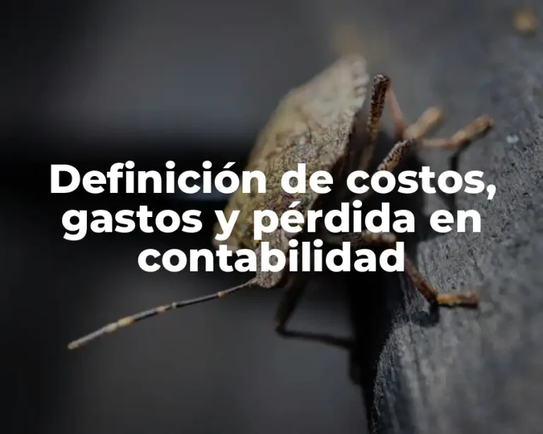 Definición de costos, gastos y pérdida en contabilidad