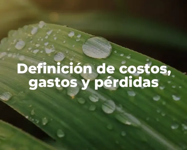 Definición de costos, gastos y pérdidas