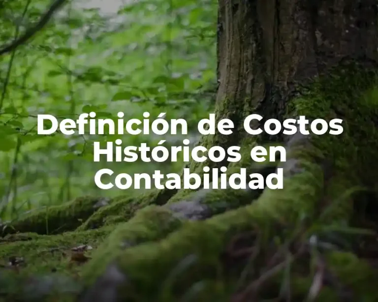 Definición de Costos Históricos en Contabilidad