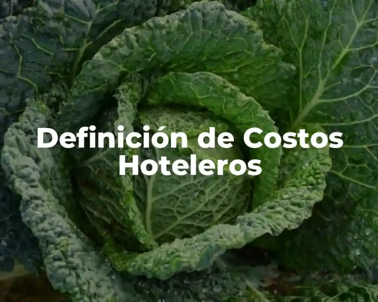 Definición de Costos Hoteleros
