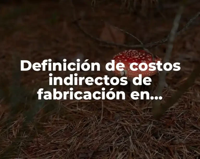 Definición de costos indirectos de fabricación en contabilidad