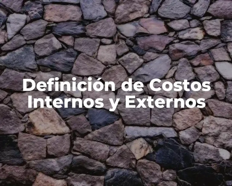Definición de Costos Internos y Externos