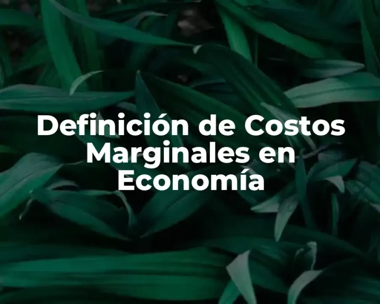 Definición de Costos Marginales en Economía