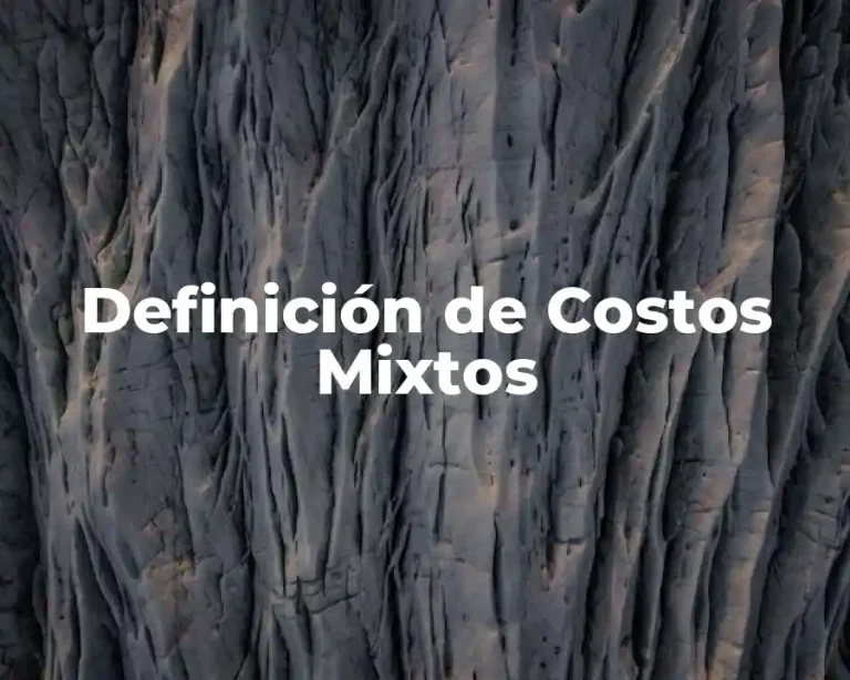 Definición de Costos Mixtos