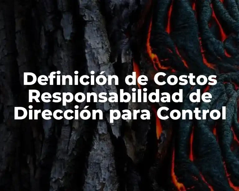 Definición de Costos Responsabilidad de Dirección para Control