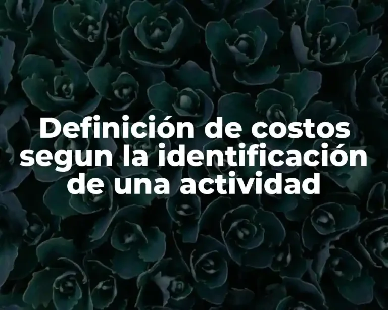 Definición de costos segun la identificación de una actividad