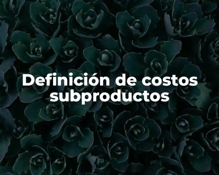 Definición de costos subproductos