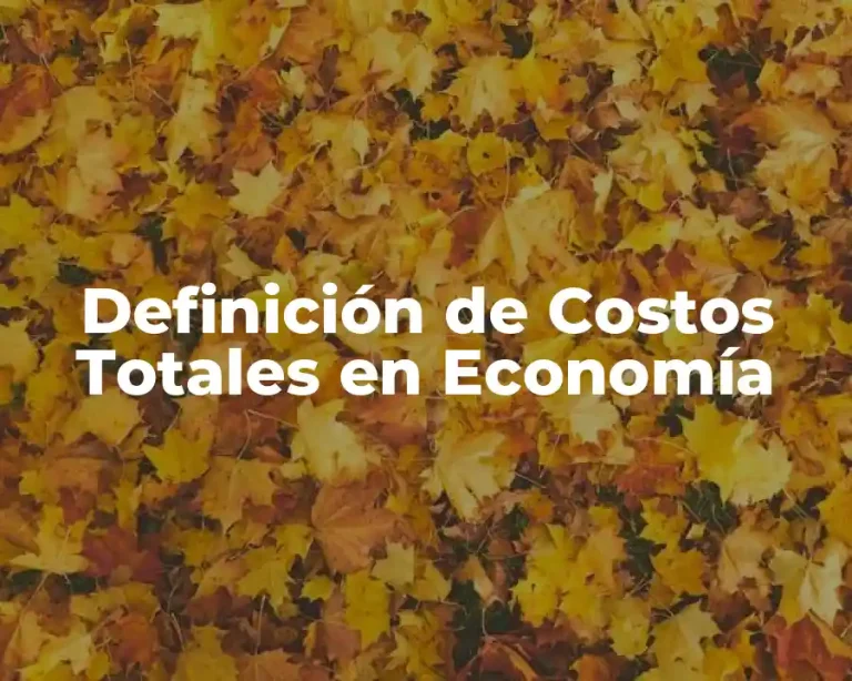 Definición de Costos Totales en Economía