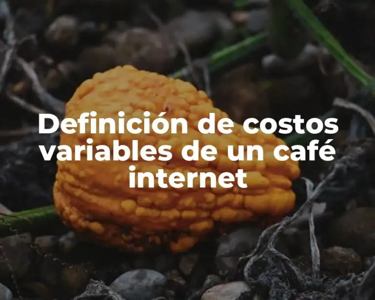 Definición de costos variables de un café internet