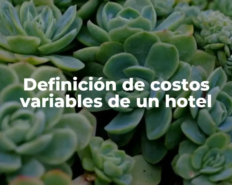 Definición de costos variables de un hotel