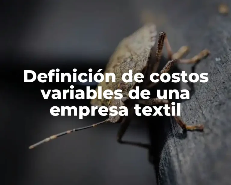 Definición de costos variables de una empresa textil