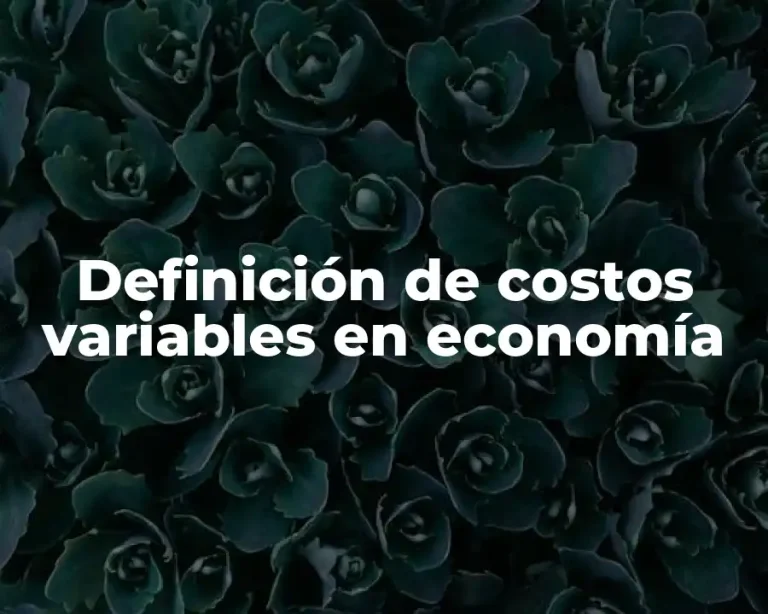 Definición de costos variables en economía