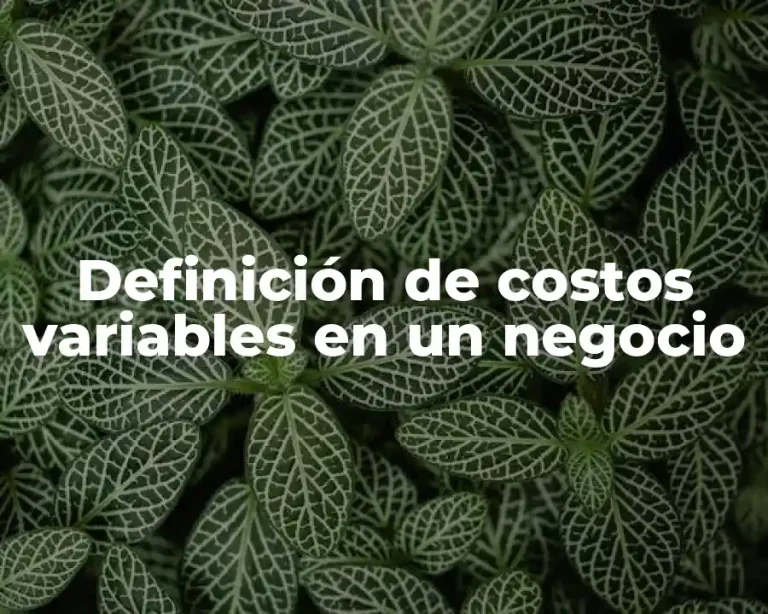 Definición de costos variables en un negocio