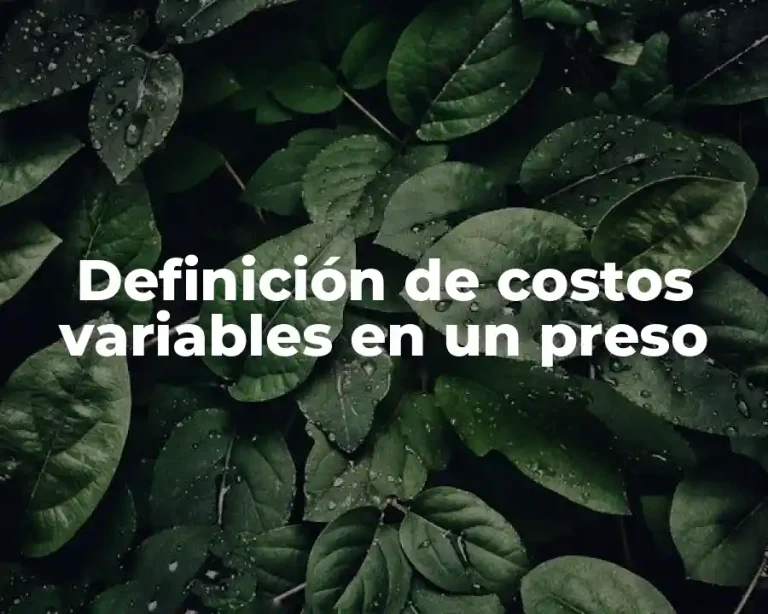 Definición de costos variables en un preso