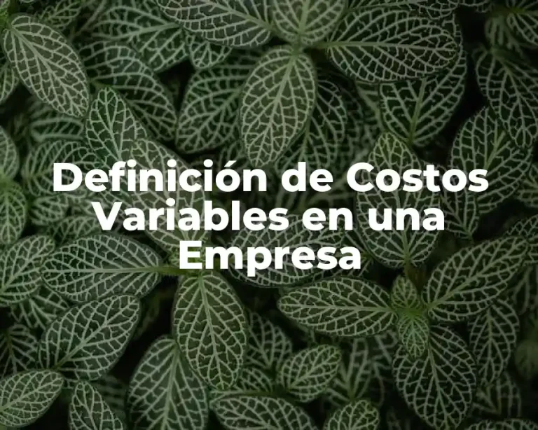Definición de Costos Variables en una Empresa