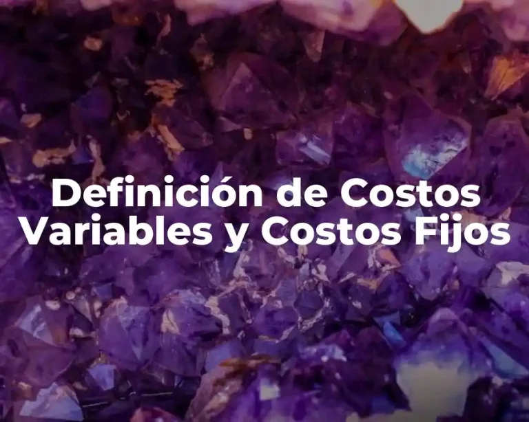 Definición de Costos Variables y Costos Fijos
