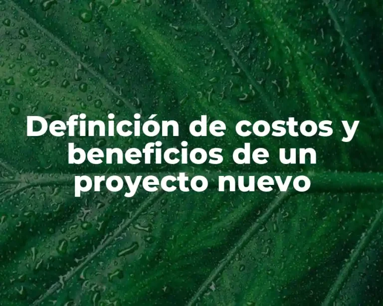 Definición de costos y beneficios de un proyecto nuevo