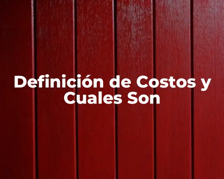 Definición de Costos y Cuales Son