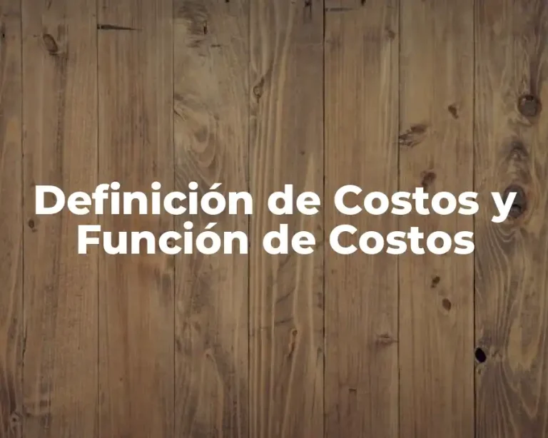 Definición de Costos y Función de Costos