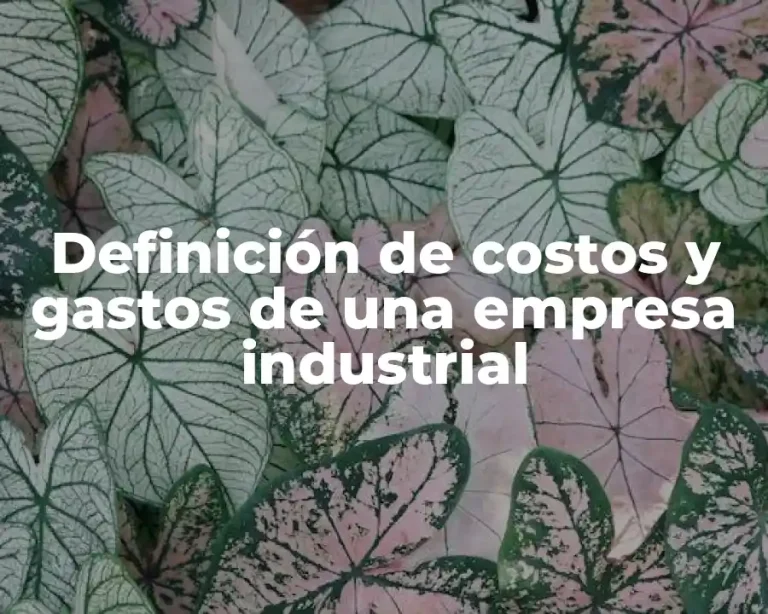 Definición de costos y gastos de una empresa industrial