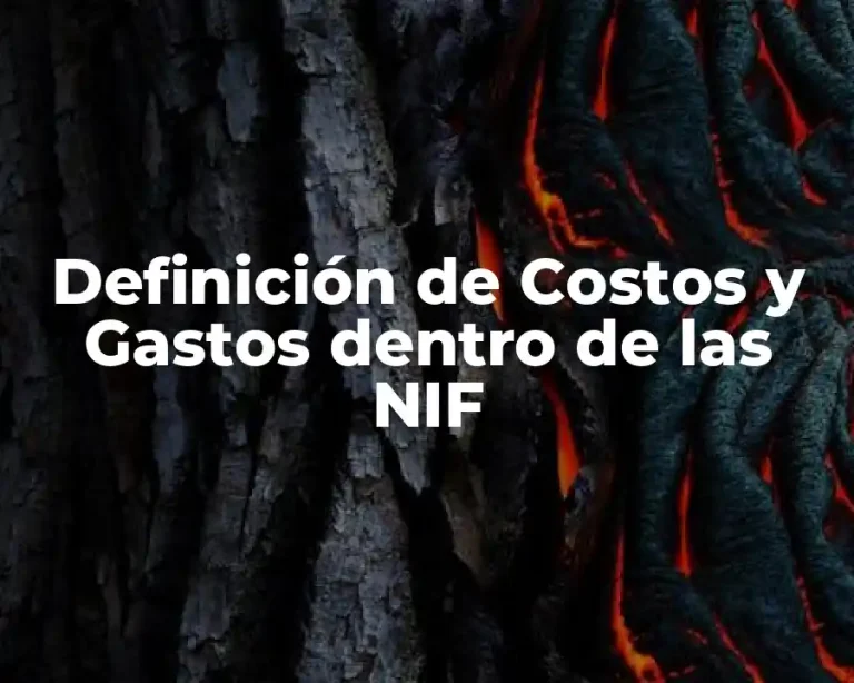 Definición de Costos y Gastos dentro de las NIF