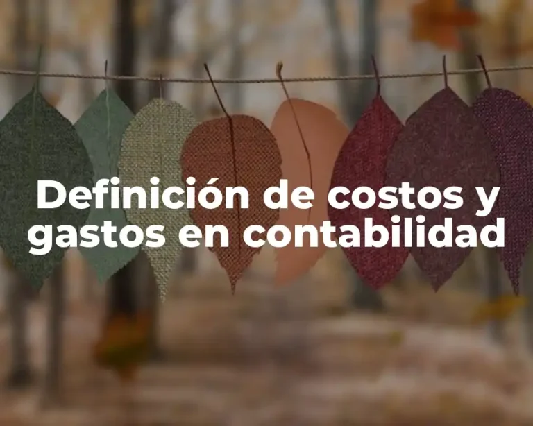 Definición de costos y gastos en contabilidad