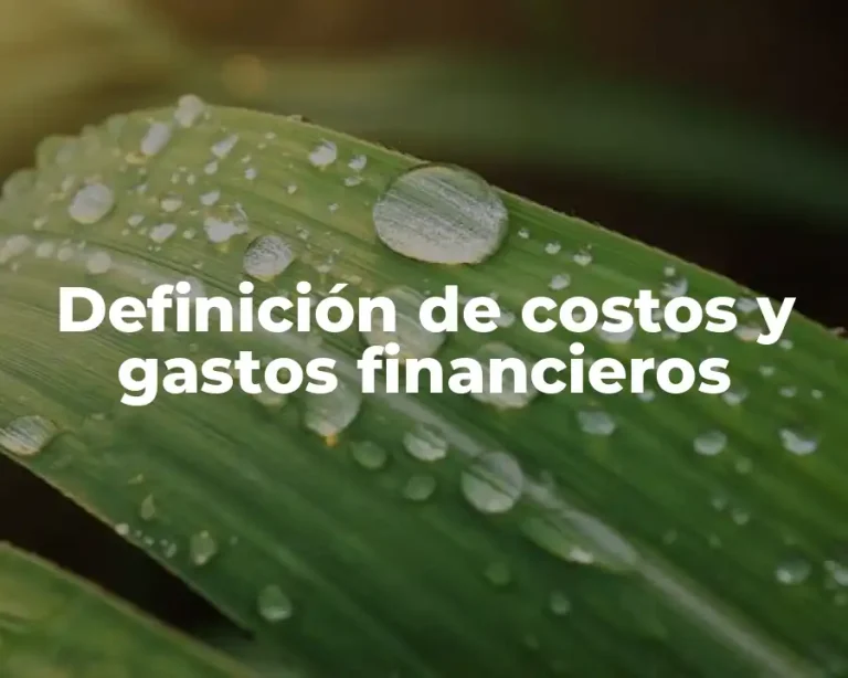 Definición de costos y gastos financieros