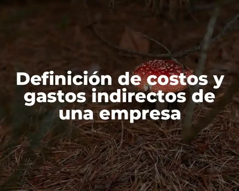 Definición de costos y gastos indirectos de una empresa