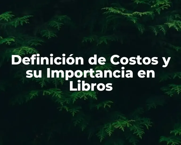 Definición de Costos y su Importancia en Libros