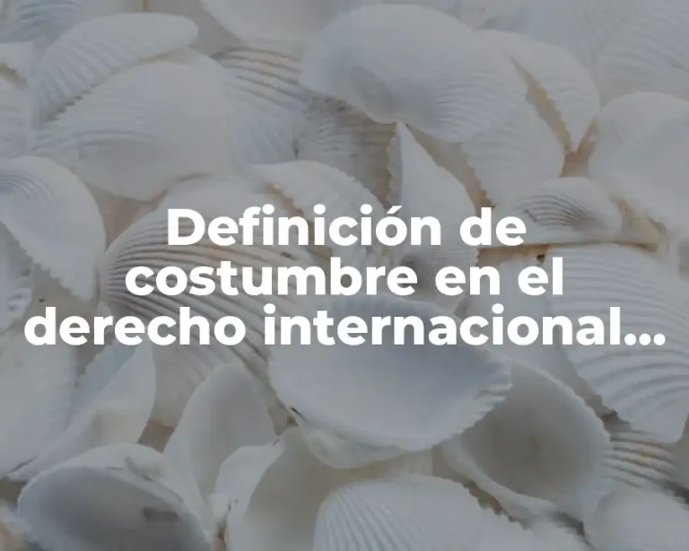 Definición de costumbre en el derecho internacional público