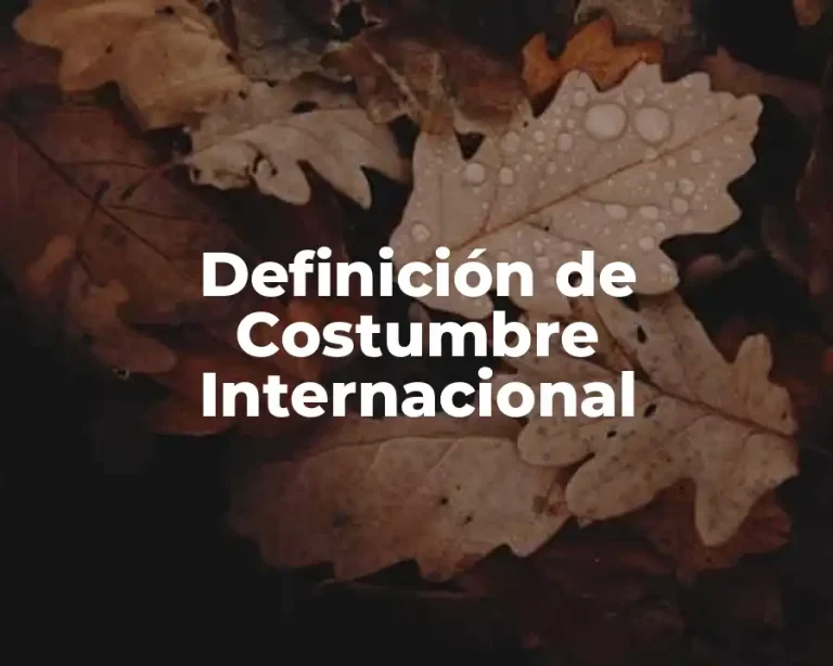 Definición de Costumbre Internacional