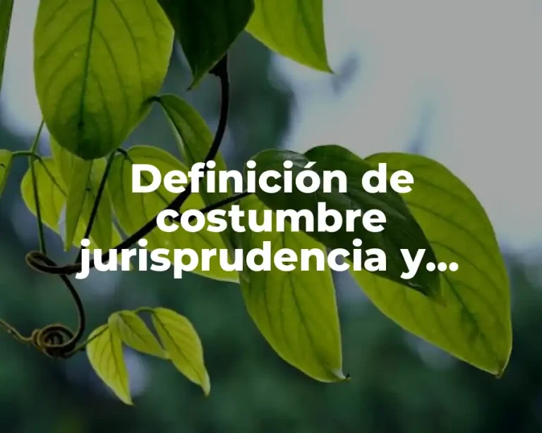 Definición de costumbre jurisprudencia y doctrina de Carlos Arellano García
