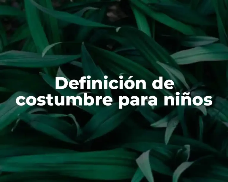 Definición de costumbre para niños
