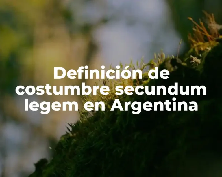 Definición de costumbre secundum legem en Argentina