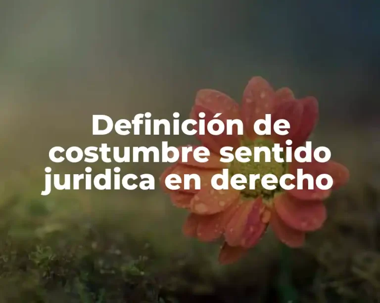 Definición de costumbre sentido juridica en derecho
