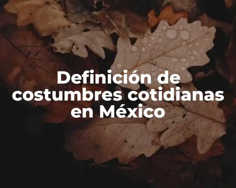 Definición de costumbres cotidianas en México