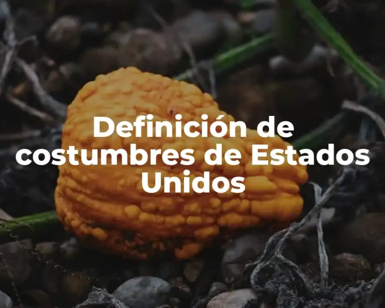 Definición de costumbres de Estados Unidos