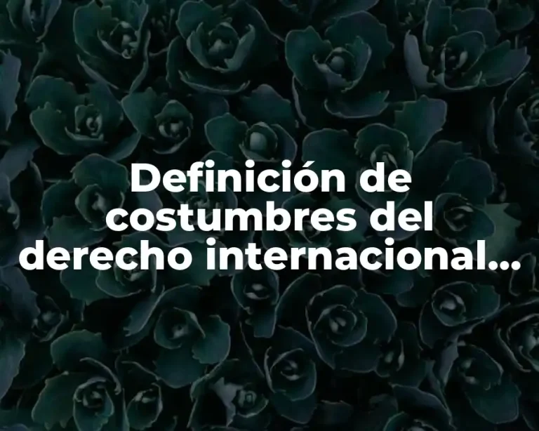 Definición de costumbres del derecho internacional público