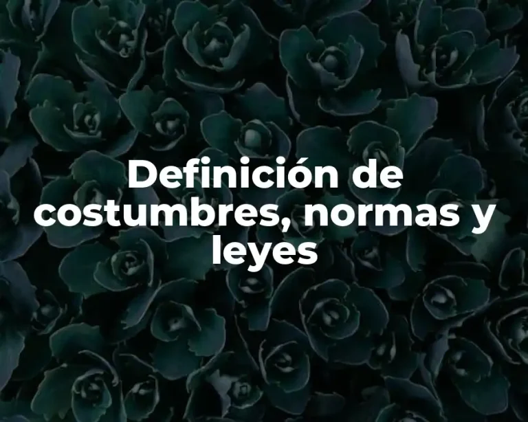 Definición de costumbres, normas y leyes