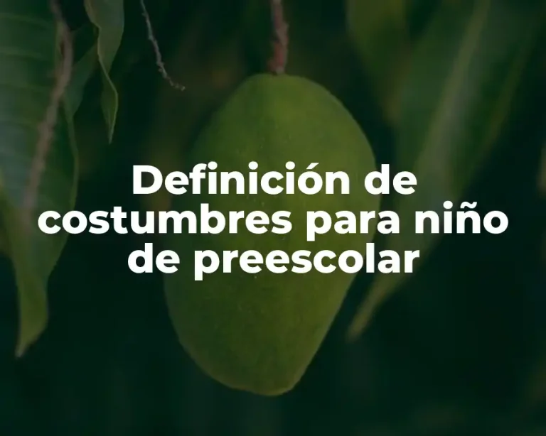 Definición de costumbres para niño de preescolar