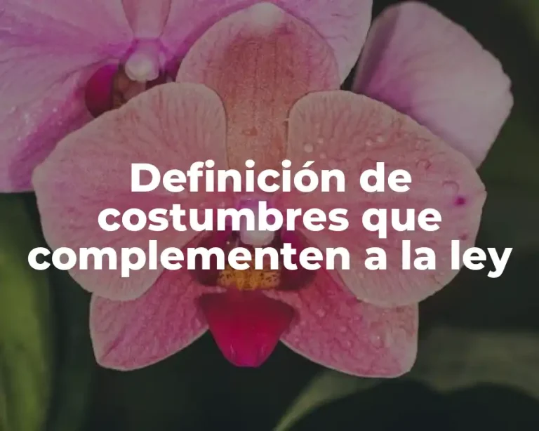 Definición de costumbres que complementen a la ley