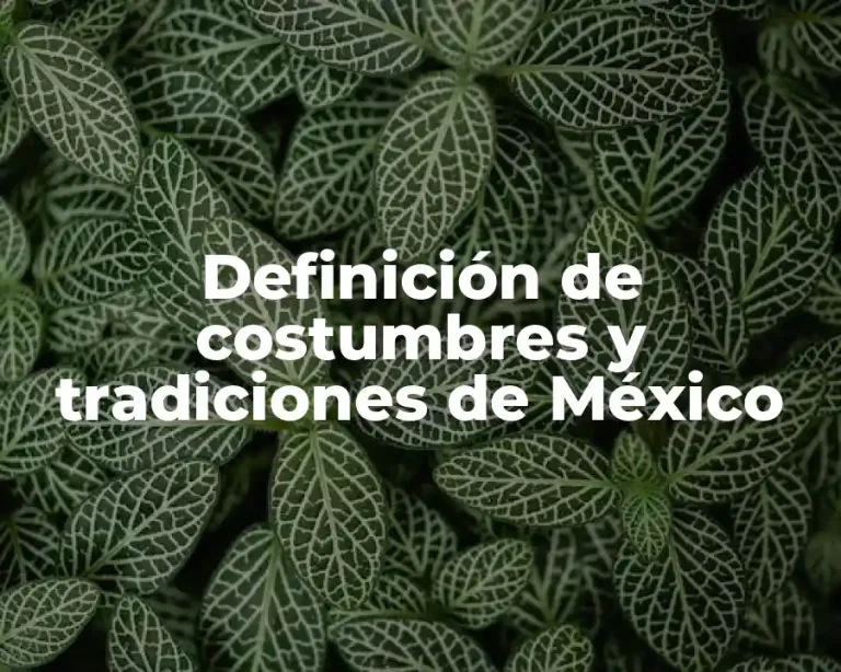 Definición de costumbres y tradiciones de México