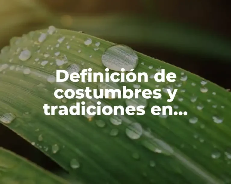 Definición de costumbres y tradiciones en Chihuahua