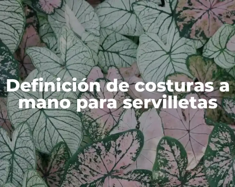 Definición de costuras a mano para servilletas