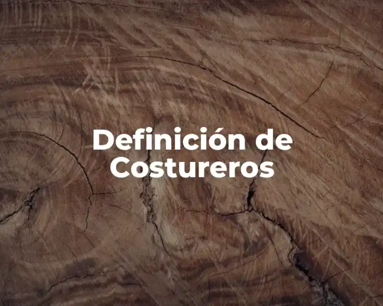 Definición de Costureros